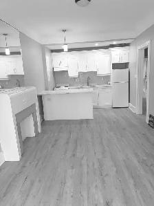 Recently Renovated One Bedroom Apartment - Photo 7