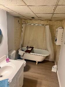 Furnished One Bedroom Basement Apartment - Photo 2