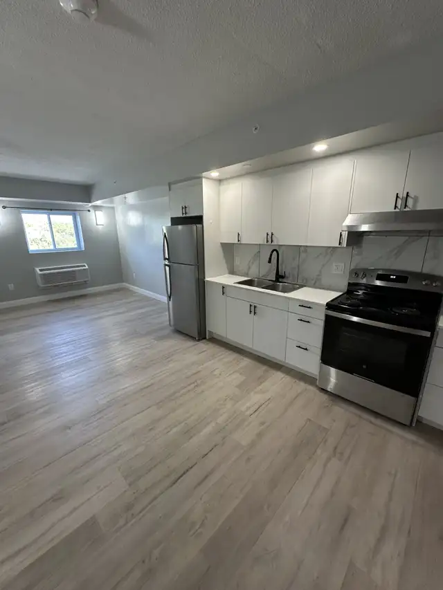 New 1 bedroom Utilities Included in Minnow Lake