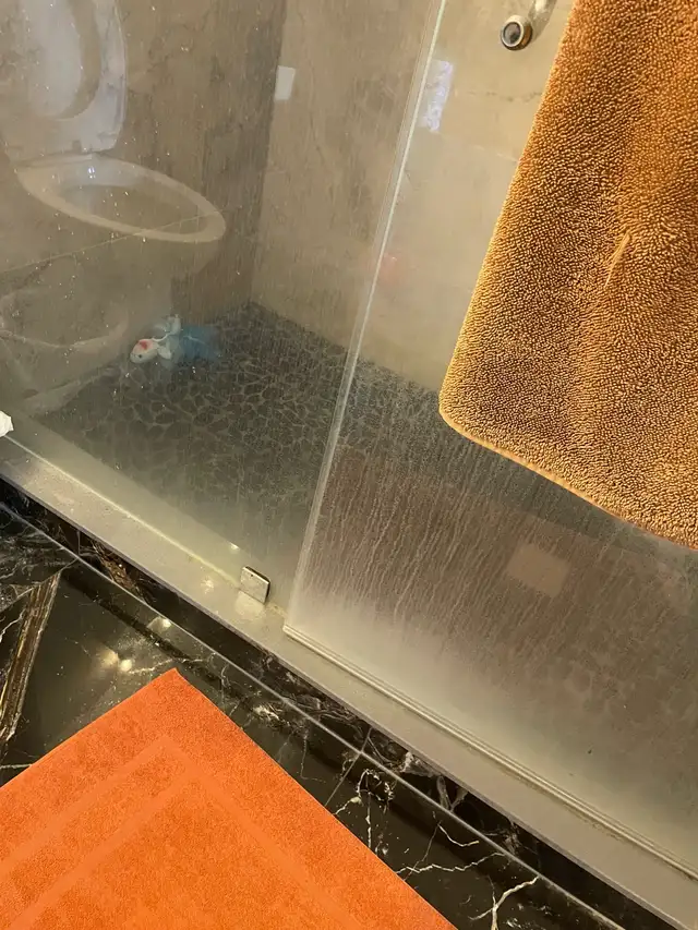 House Cleaning