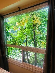 A bright second floor bedroom near UTM for rent - Photo 4