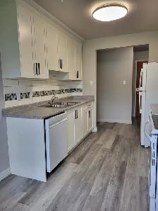Spacious 2 Bedroom Apartment Available for Rent October 28th - Photo 9