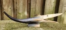 Vintage Cow Horn Whale Art Sculpture - Photo 2
