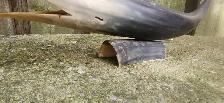 Vintage Cow Horn Whale Art Sculpture - Photo 6