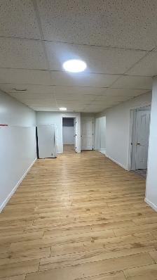 Basement in Taradale
