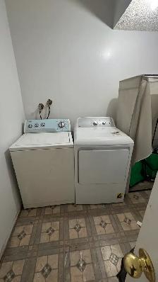 Basement in Taradale - Photo 3