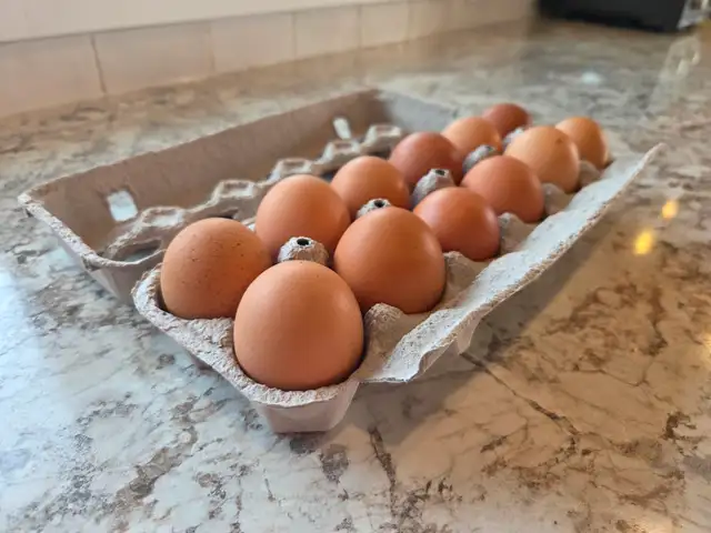 Farm fresh eggs