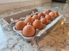 Farm fresh eggs