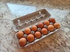 Farm fresh eggs - Photo 2