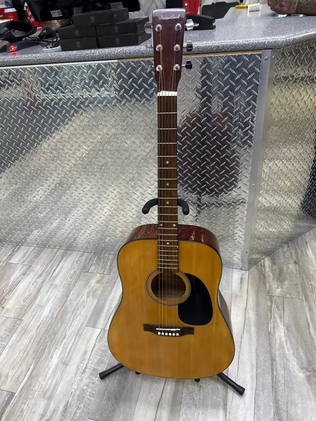 Beaver Creek BCTD101 Acoustic Guitar