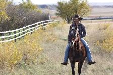 Well Broke 17yr Old Safe Gelding - Photo 4