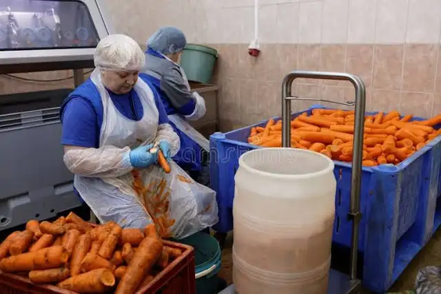 GENERAL LABOUR PRODUCE COMPANY  EARLY MORNING