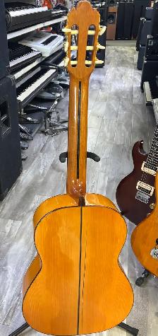 Manuel Raimundo 147.7 Project Acoustic Guitar - Photo 4