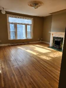 17 Paddock #2A -1BR Uptown, Bright, Spacious, Laundry - Photo 3