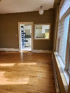 17 Paddock #2A -1BR Uptown, Bright, Spacious, Laundry - Photo 5