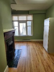 17 Paddock #2A -1BR Uptown, Bright, Spacious, Laundry - Photo 9