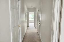 Painting Contractor — Toronto — 416-838-1391 - Photo 10