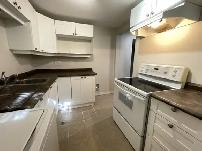 2 1 Bedroom Basement Apartment on Johnson St. - Photo 4