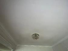 Water-Damaged Ceiling Repair Ajax — 416-838-1391