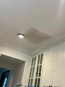 Water-Damaged Ceiling Repair Ajax — 416-838-1391 - Photo 4