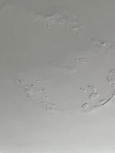 Water-Damaged Ceiling Repair Ajax — 416-838-1391 - Photo 8