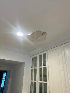 Water-Damaged Ceiling Repair Ajax — 416-838-1391 - Photo 10