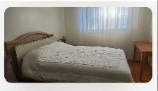 Bright and beautiful Furnished Room for Rent - $1100 Hydro  util - Photo 3