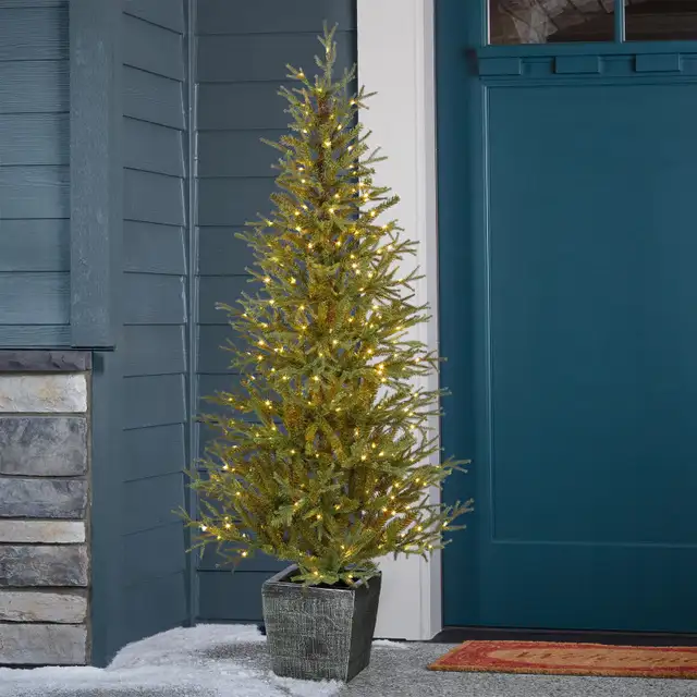 Danson Decor 5 ft. Pre-Lit Potted Pine Tree with 300 Dual-Colour