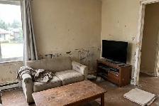 Interior Painting in Ajax — Free Estimate 416-838-1391 - Photo 5