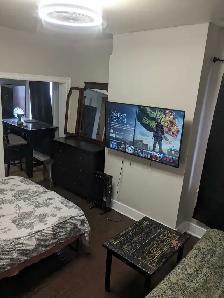 1 MNTH FREE RENT!HUGE 2 RM FURN. SUITE - KITCHN & BLT IN CLOSET - Photo 4