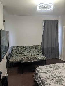 1 MNTH FREE RENT!HUGE 2 RM FURN. SUITE - KITCHN & BLT IN CLOSET - Photo 6