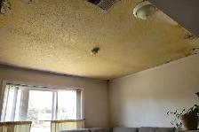 Popcorn Ceiling Repair Ajax — Free Estimate 416-838-1391 - Photo 5