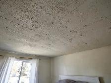 Popcorn Ceiling Repair Ajax — Free Estimate 416-838-1391 - Photo 7