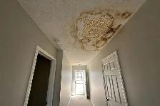 Popcorn Ceiling Repair Ajax — Free Estimate 416-838-1391 - Photo 9