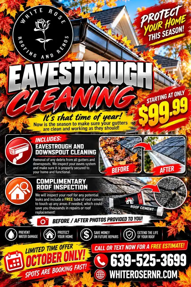 LAST CALL 4 GUTTER CLEANING 2026!