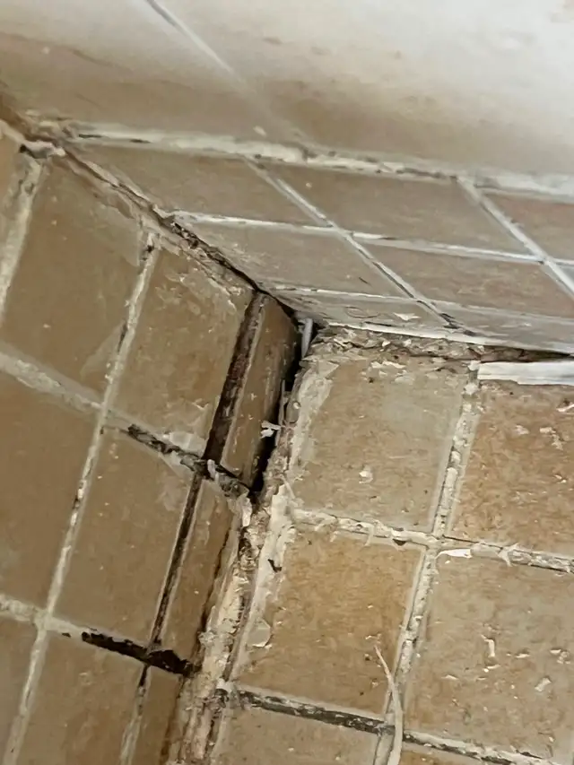 Mold Removal Services — Ajax — 416-838-1391