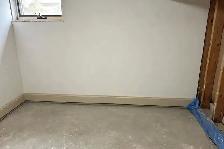Mold Removal Services — Ajax — 416-838-1391 - Photo 6