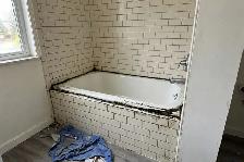 Mold Removal Services — Ajax — 416-838-1391 - Photo 9