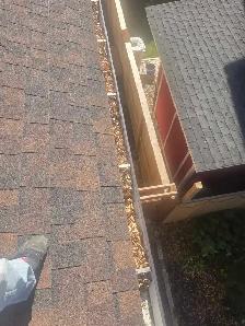 eavestrough cleaning