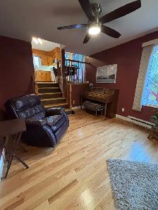 Fully Furnished 4 Bedroom Home - Photo 3