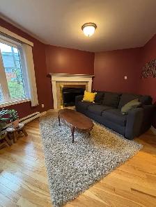 Fully Furnished 4 Bedroom Home - Photo 4