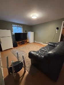 Fully Furnished 4 Bedroom Home - Photo 9