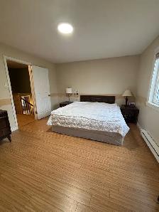 Fully Furnished 4 Bedroom Home - Photo 10
