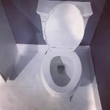 Ajax Bathroom Reno — Start to Finish 416-838-1391