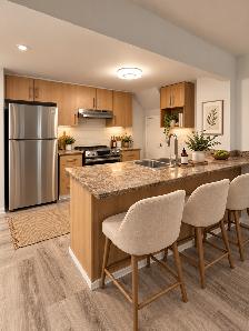 2 bedroom, 2 bathroom townhouse unit - Swansea / High Park - Photo 3