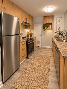 2 bedroom, 2 bathroom townhouse unit - Swansea / High Park - Photo 4