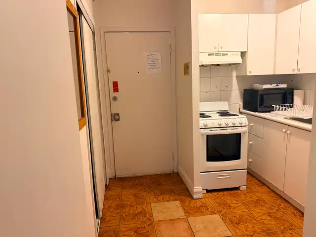 LARGE ONE BEDROOM APARTMENT DOWNTOWN TORONTO