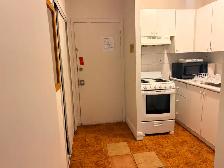 LARGE ONE BEDROOM APARTMENT DOWNTOWN TORONTO
