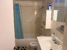 LARGE ONE BEDROOM APARTMENT DOWNTOWN TORONTO - Photo 5
