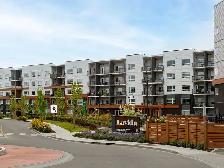 AVAILABLE NOW! 1-bedroom   private ensuite